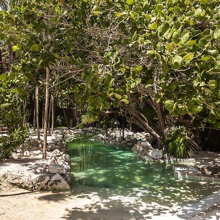 Niken Beachfront Tulum Hotel 외부 사진