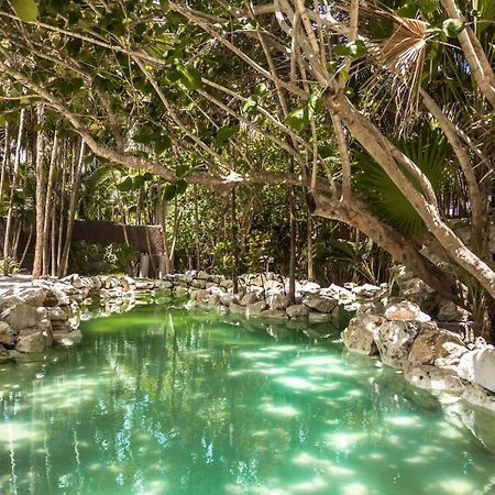Niken Beachfront Tulum Hotel 외부 사진