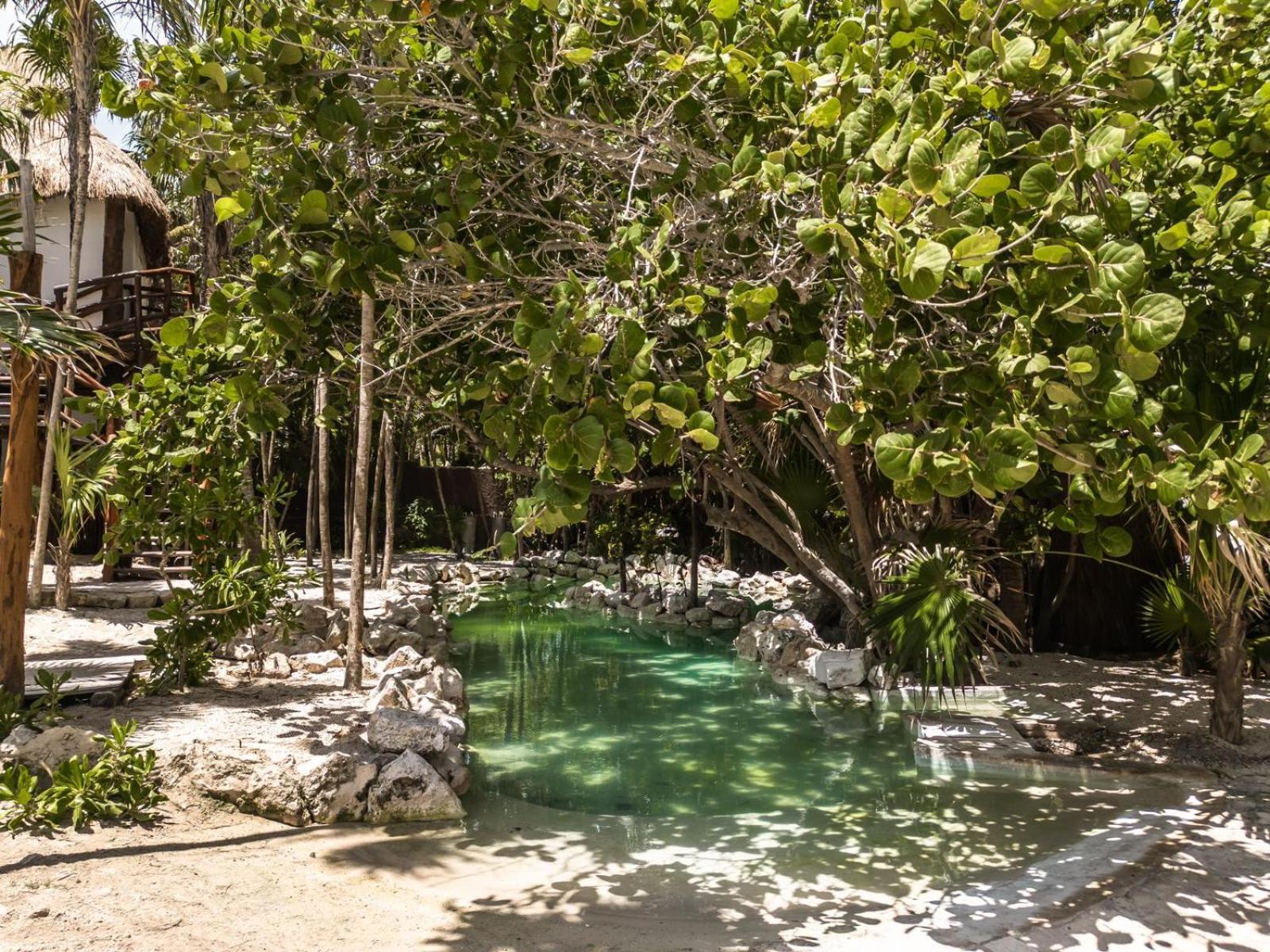 Niken Beachfront Tulum Hotel 외부 사진