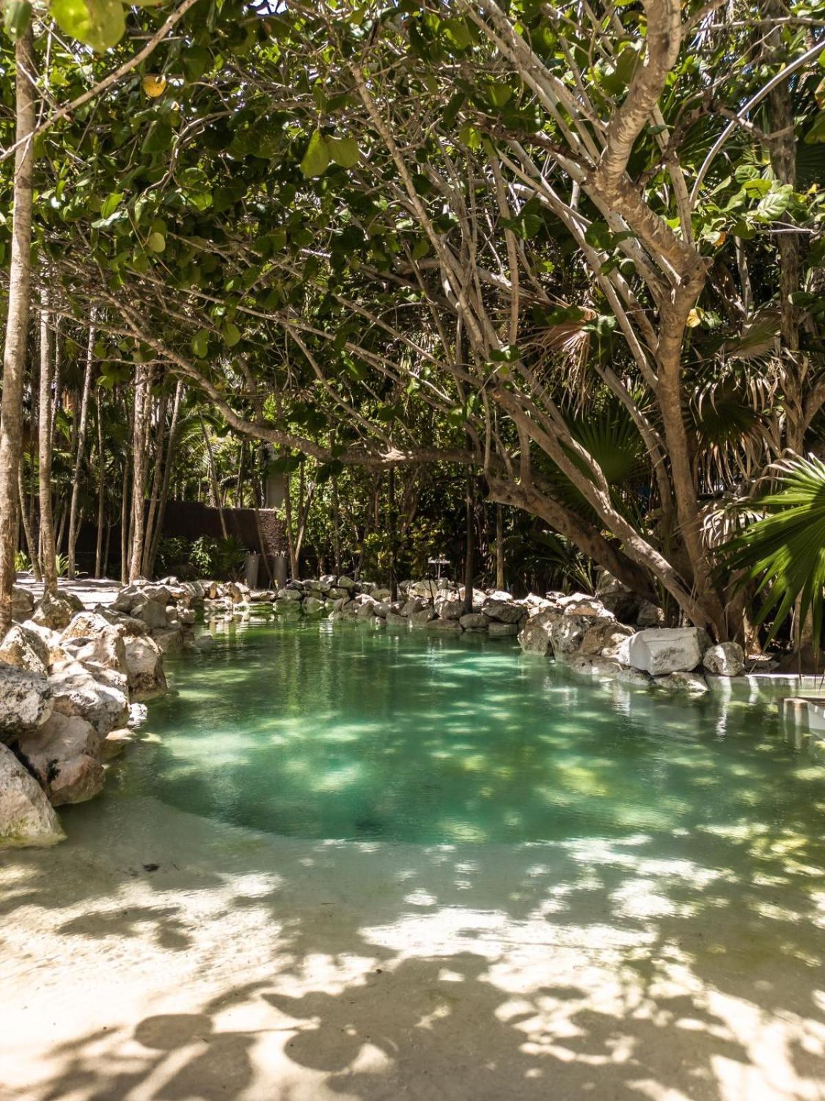 Niken Beachfront Tulum Hotel 외부 사진