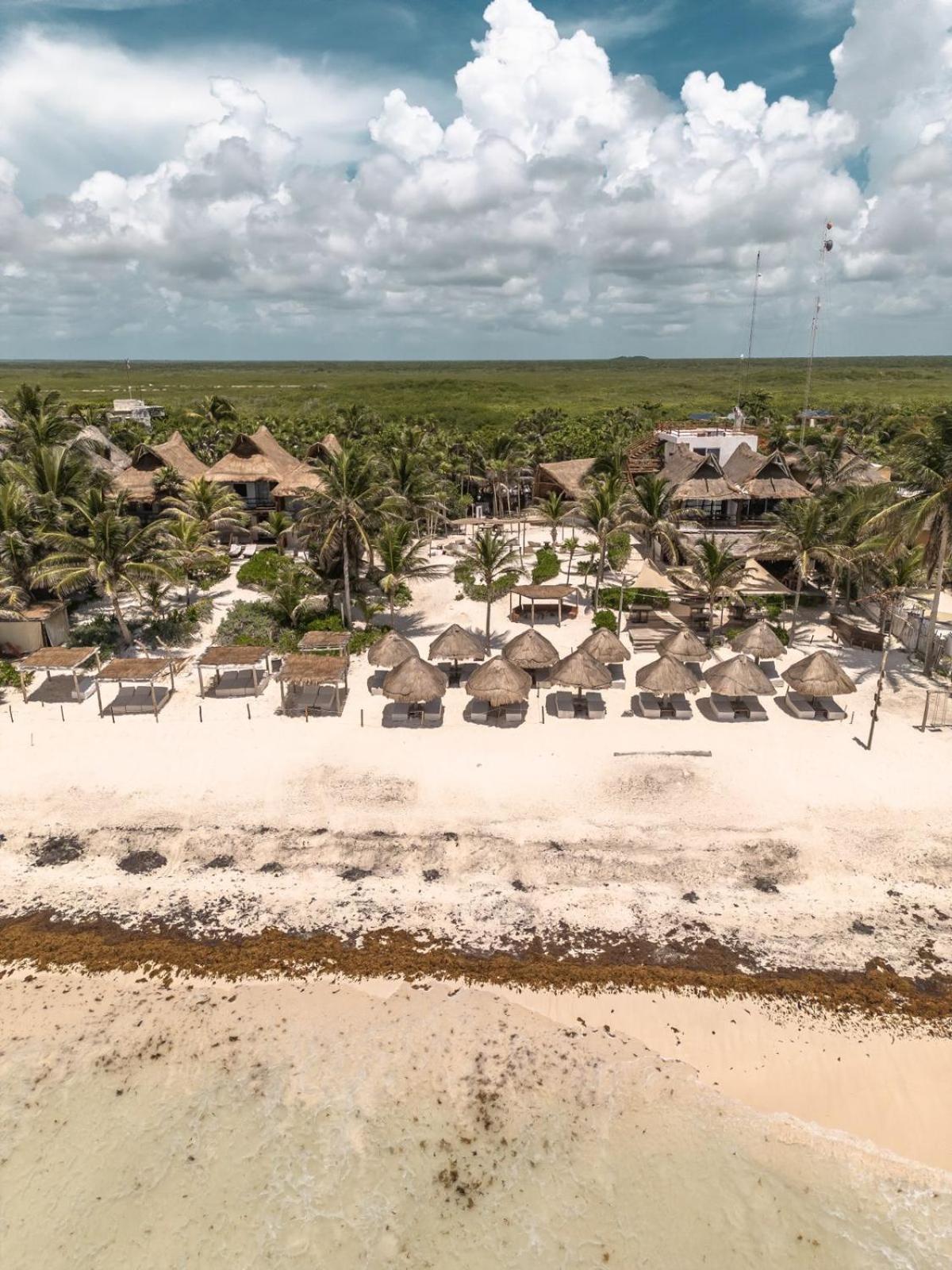 Niken Beachfront Tulum Hotel 외부 사진